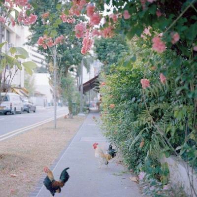 BB贝博平台登录app手机app下载